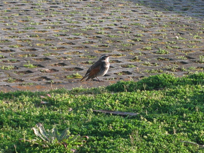c0219815_22254022.jpg