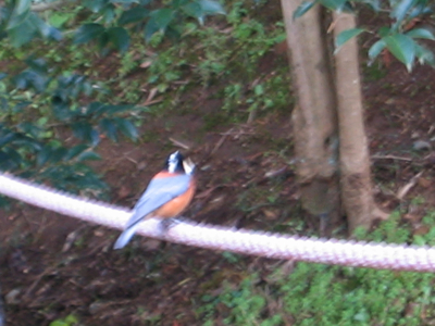 c0219815_22261932.jpg
