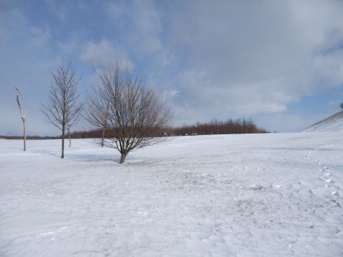 e0116315_8152254.jpg