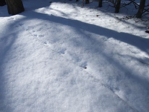 e0116315_828118.jpg