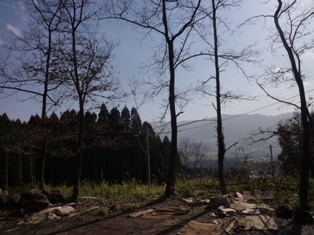f0031420_2044841.jpg