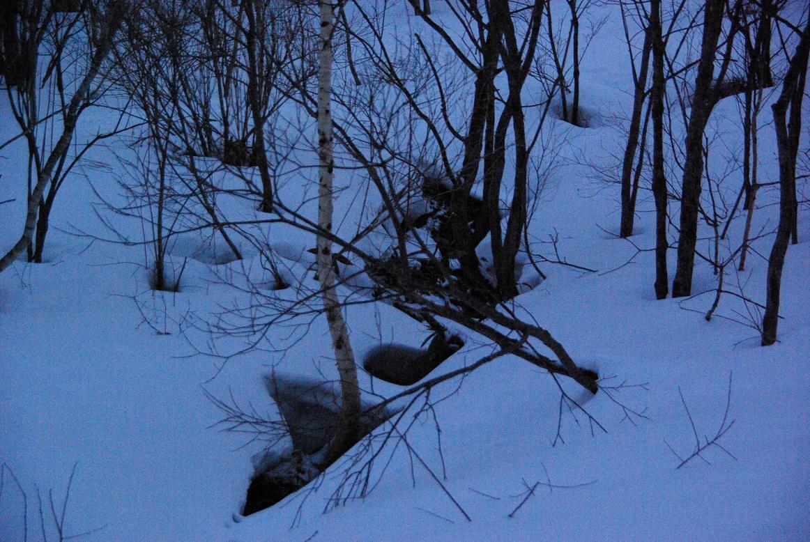 b0062024_11163865.jpg