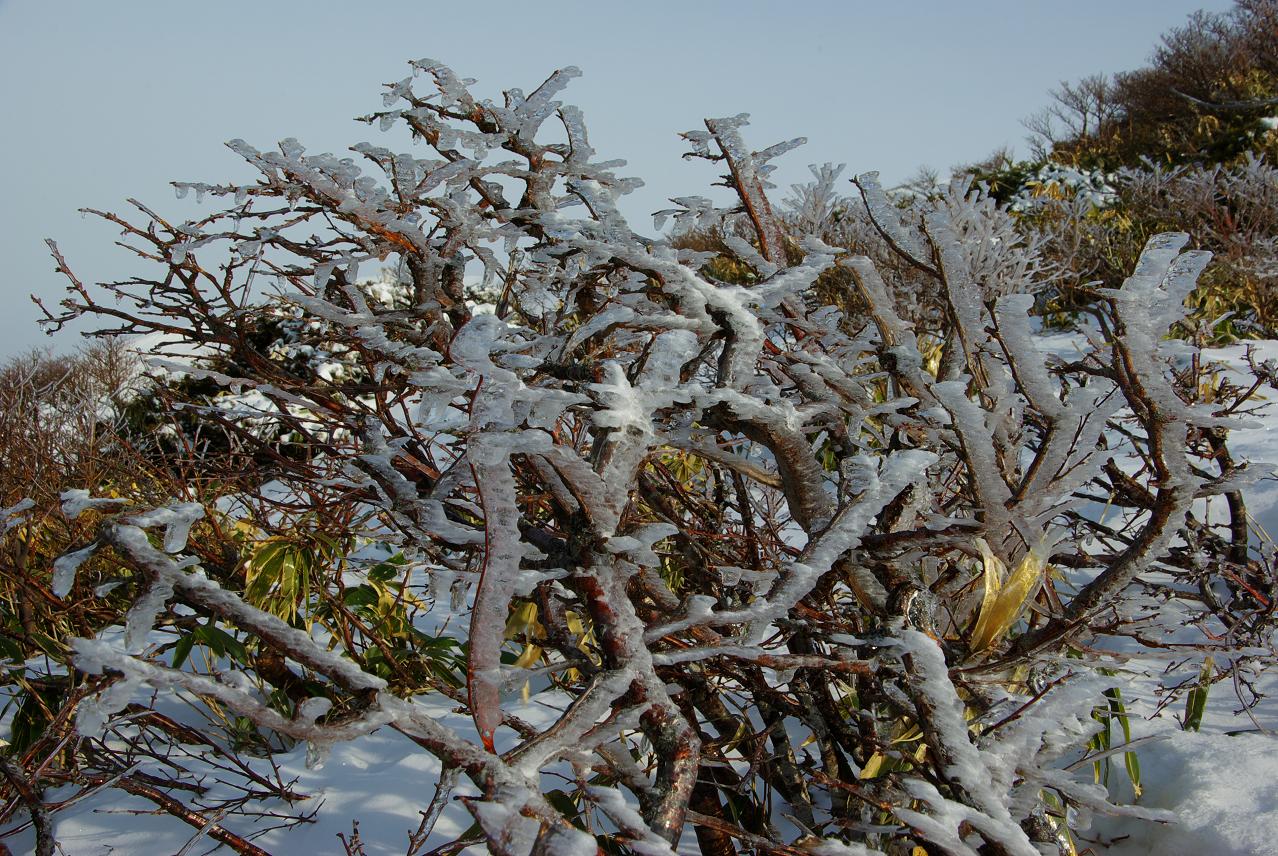 b0062024_11211839.jpg