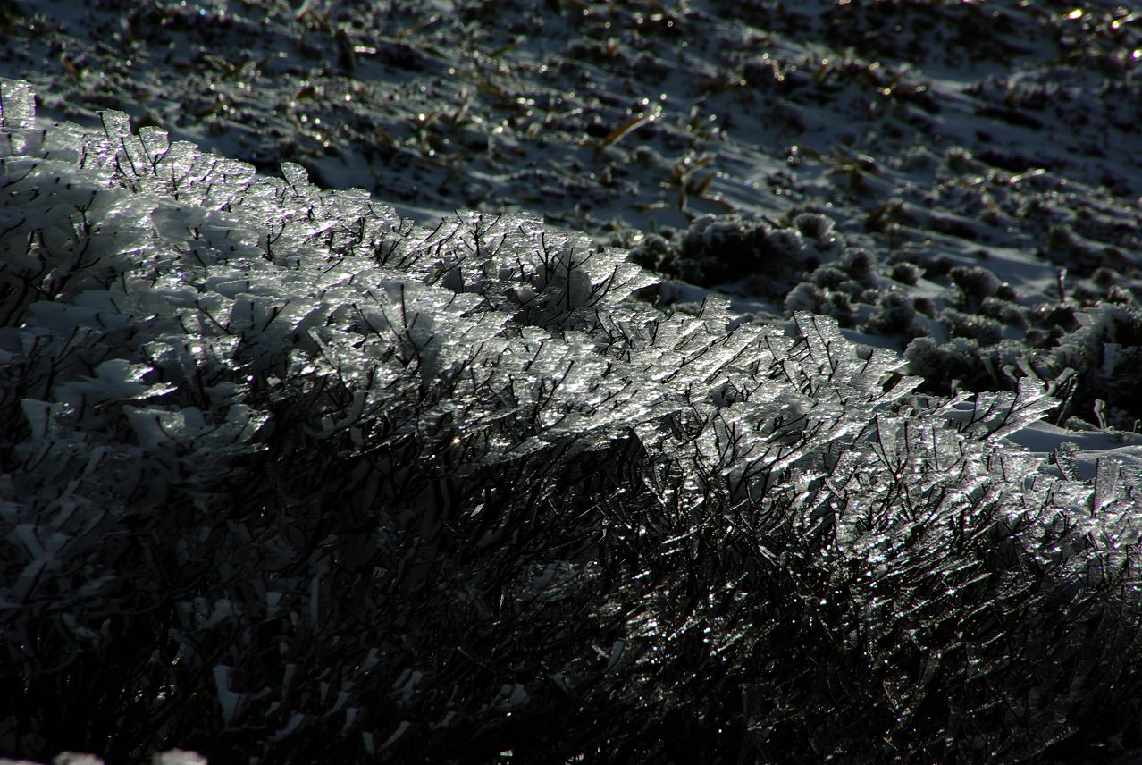 b0062024_11285136.jpg