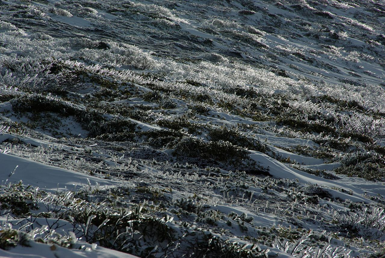 b0062024_11291753.jpg