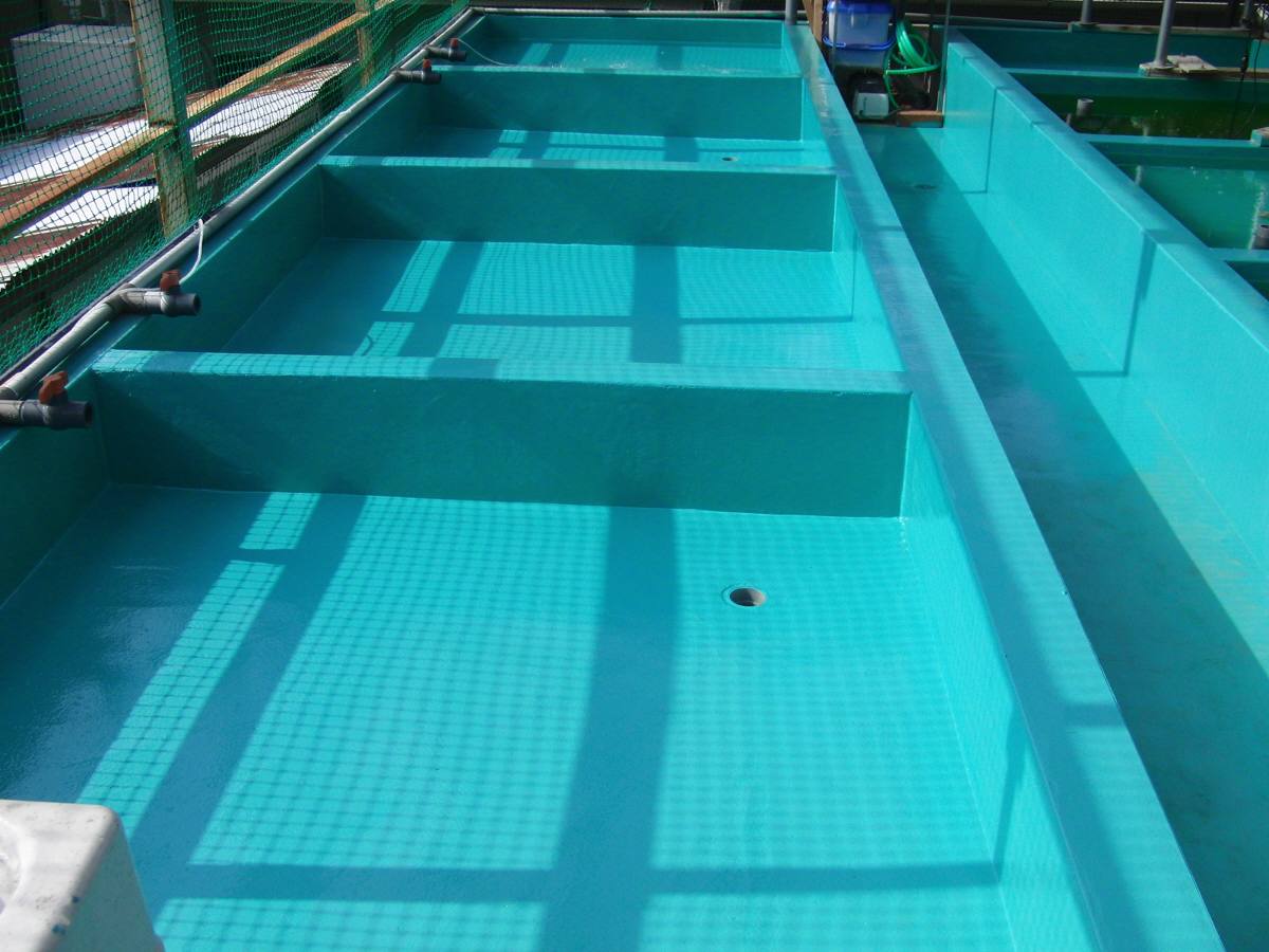 c0020725_947155.jpg