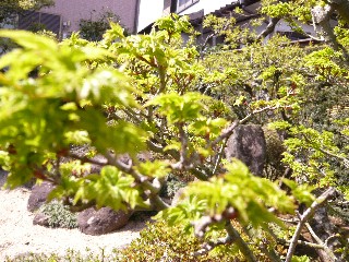 a0098027_15138100.jpg