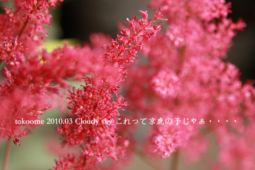 d0042827_3354817.jpg