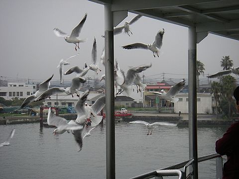 f0000330_17433218.jpg