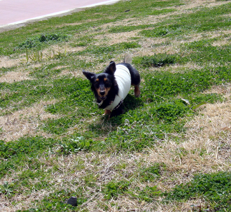 c0117831_19315381.jpg