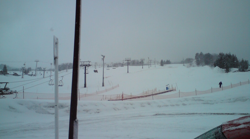 c0054838_1651028.jpg