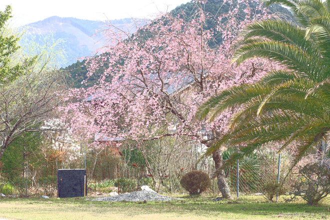 e0083238_22363633.jpg