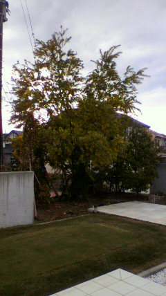 d0106440_14161552.jpg