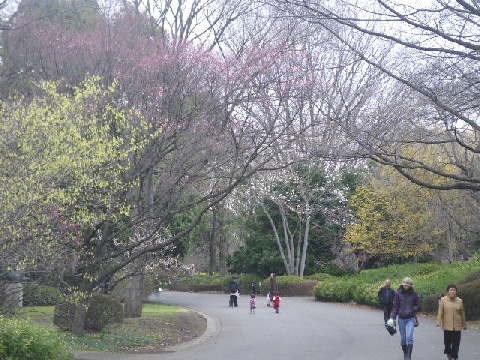 e0069647_2015099.jpg