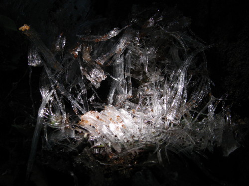 c0179351_20265220.jpg