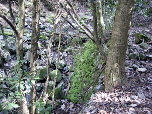 c0179351_20281745.jpg