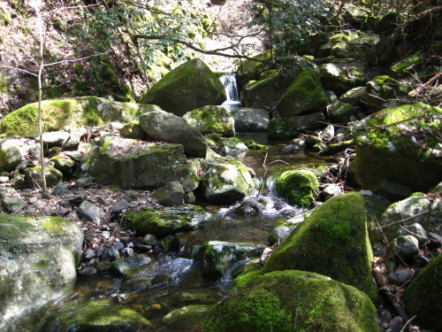 c0179351_202850100.jpg