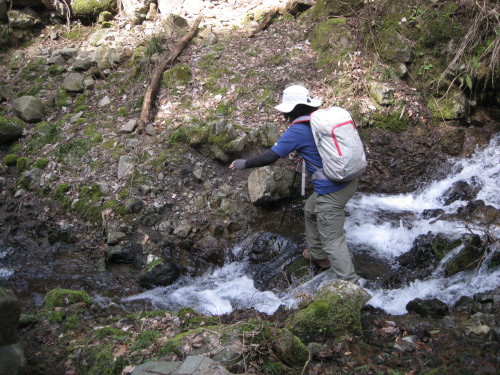 c0179351_20291697.jpg