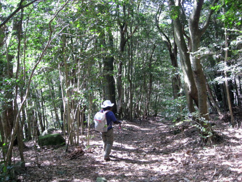 c0179351_20294450.jpg