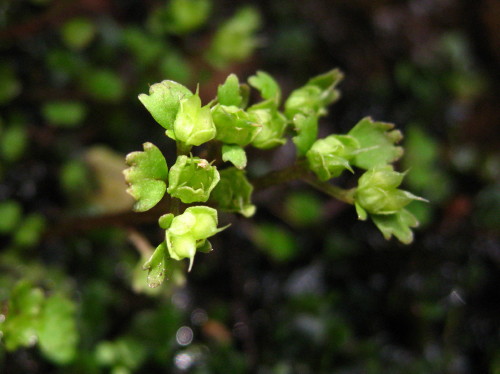c0179351_20302220.jpg