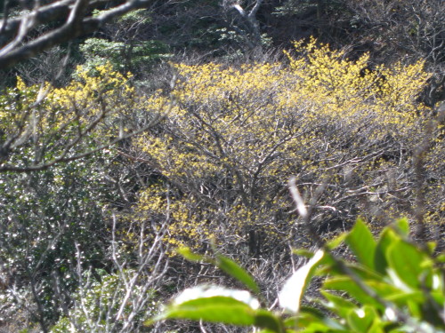 c0179351_20321083.jpg