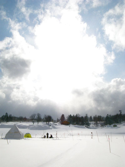 f0163063_175594.jpg