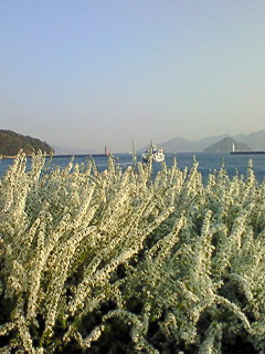 f0180166_21501982.jpg