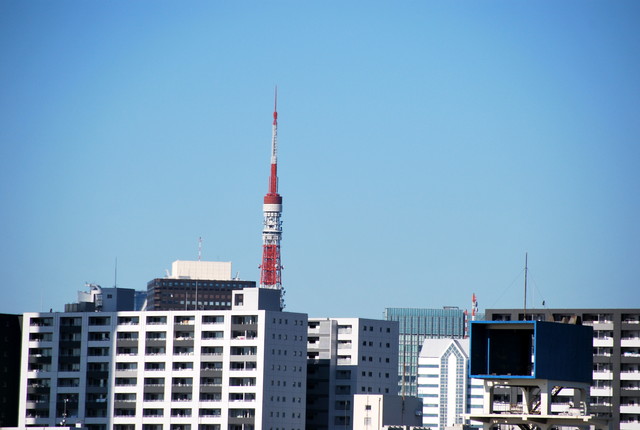 b0174068_17218.jpg