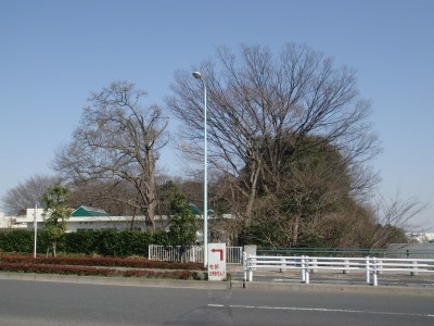 c0112172_140563.jpg