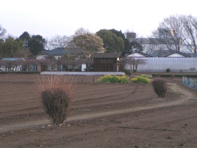c0112172_1411957.jpg