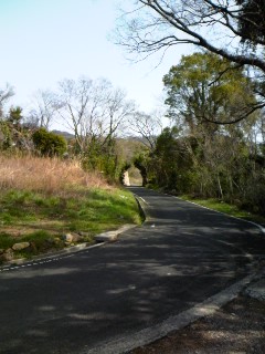 c0121572_0323062.jpg