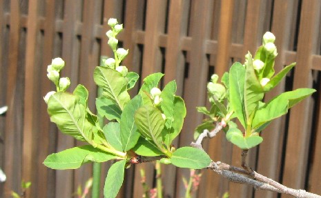 f0155475_20193321.jpg