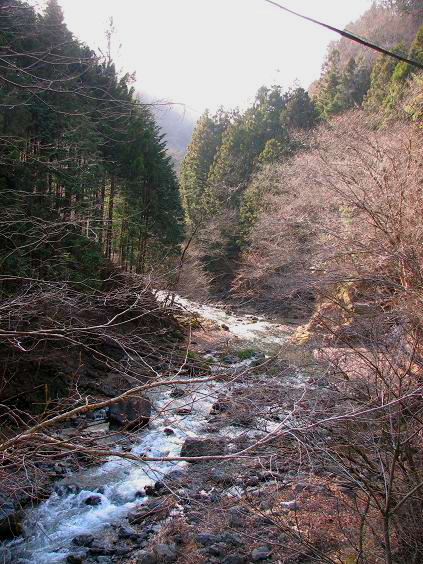 c0136486_94559.jpg