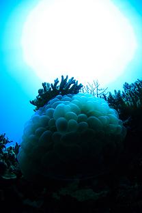 a0109187_16584356.jpg
