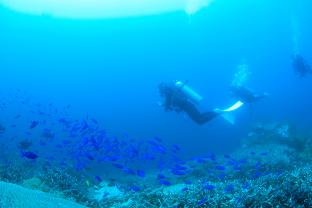a0109187_1792431.jpg