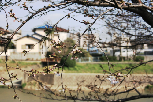 c0129498_1141357.jpg
