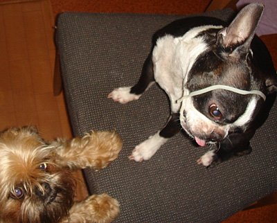 c0094999_3200100.jpg