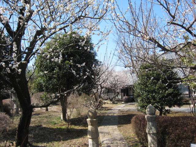 e0033301_22182490.jpg