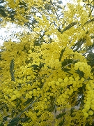 c0151903_2030232.jpg