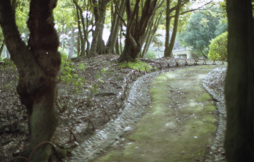 d0071507_2112934.jpg