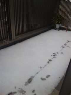 c0201113_2226373.jpg