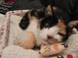 c0201113_23104366.jpg