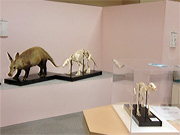 f0191517_12509100.jpg