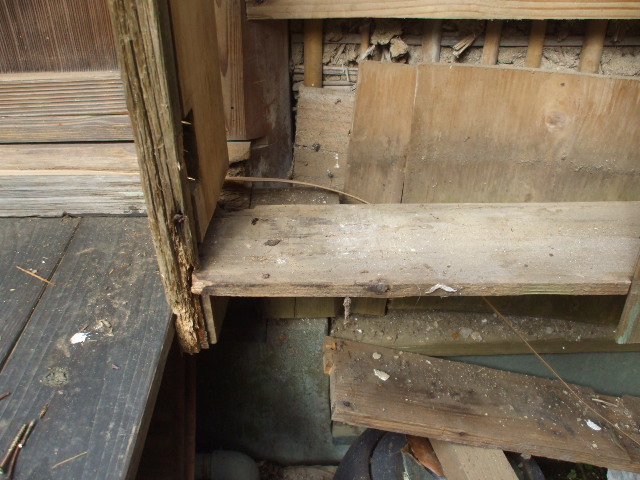 b0096418_12382381.jpg