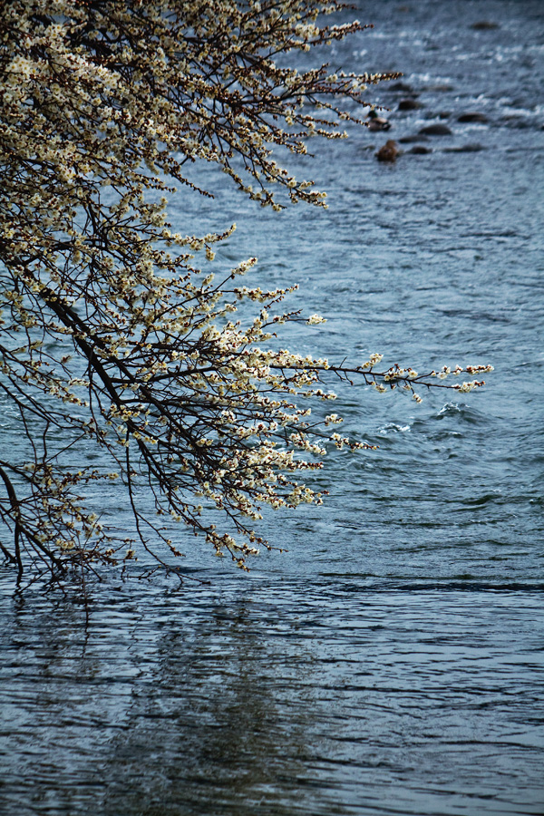 b0147624_12233738.jpg