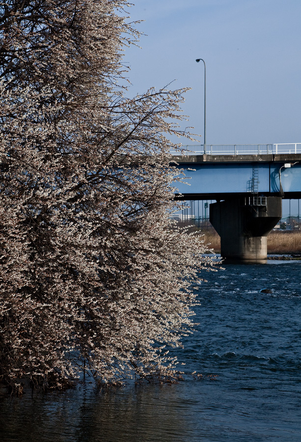b0147624_12242734.jpg