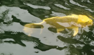 f0040734_22522476.jpg