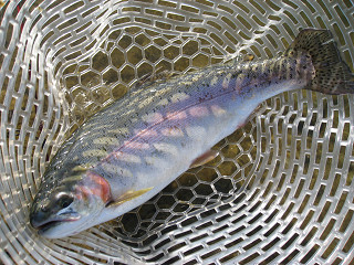 f0065341_16221377.jpg
