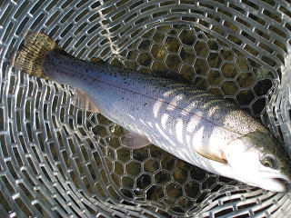 f0065341_16253920.jpg