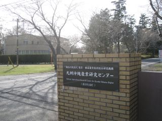 d0081650_7531816.jpg